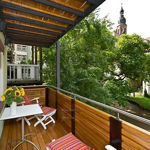 https://heidelberg-rooms.hotelsheidelberg.net